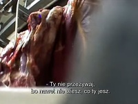 Praktiky poľského bitúnku nafilmoval reportér televízie TVN24.