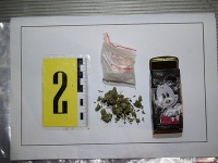 Policajti zadržali dvoch mladých dílerov Policajti zadržali dvoch mladých dílerov