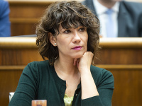 Lucia Ďuriš Nicholsonová Lucia Ďuriš Nicholsonová