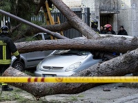 Talianski hasiči odstraňujú spadnutý strom. Talianski hasiči odstraňujú spadnutý strom.