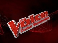 Brat slovenskej speváčky skúsil šťastie v The Voice. Brat slovenskej speváčky skúsil šťastie v The Voice.