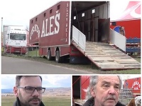 Cirkus Aleš dostal od primátora Pezinka zákaz vystúpiť. Cirkus Aleš dostal od primátora Pezinka zákaz vystúpiť.