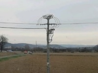 Nález tela v Brekove. Nález tela v Brekove.