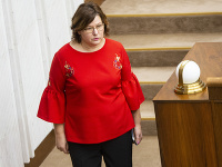 Poslankyňa NR SR Anna Verešová. Poslankyňa NR SR Anna Verešová.