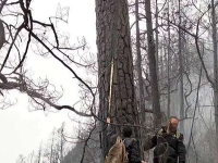 Pri požiaroch zomrelo až 30 ľudí. Pri požiaroch zomrelo až 30 ľudí.