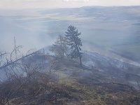 Hasiči stále zasahujú pri rozsiahlom požiari lesa v obci Kravany v okrese Poprad. Hasiči stále zasahujú pri rozsiahlom požiari lesa v obci Kravany v okrese Poprad.
