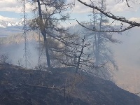Hasiči stále zasahujú pri rozsiahlom požiari lesa v obci Kravany v okrese Poprad.