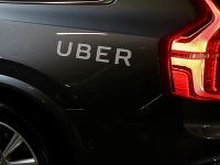 Známa taxislužba zverejnila kuriózny zoznam strát a nálezov: V autách ostali aj živá korytnačka či hlava figuríny
