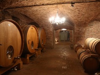 Súčasťou zámku je aj stredoveká vínna pivnica.