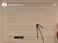 Alena Pallová na Instagrame informovala, že svadobčania majú zákaz zverejňovať fotky mladomanželov. 