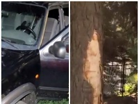 Tragédia v Kamenickom Šenove. Tragédia v Kamenickom Šenove.