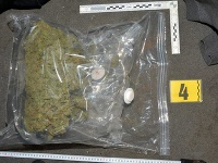 Žilinskí kriminalisti s policajtmi zaistili počas spoločnej akcie zameranej na odhaľovanie drogovej trestnej činnosti viac ako dva a pol kilogramu marihuany.
