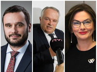 Europoslanci
Europoslanci