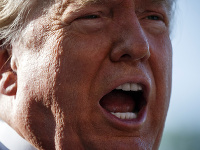 Donald Trump Donald Trump