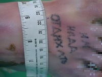 Morava vyplavila telo muža .