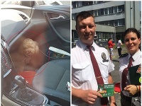 Bratislavská polícia sa zaoberá prípadom, kedy vodička nechala zatvoreného psa v rozhorúčenom aute. Bratislavská polícia sa zaoberá prípadom, kedy vodička nechala zatvoreného psa v rozhorúčenom aute.