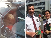 Bratislavská polícia sa zaoberá prípadom, kedy vodička nechala zatvoreného psa v rozhorúčenom aute.