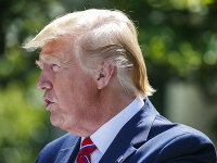 Donald Trump Donald Trump