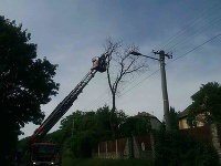 Hasiči pre nepriaznivé počasie zasahovali pri viac ako šesťdesiatich prípadoch
Hasiči pre nepriaznivé počasie zasahovali pri viac ako šesťdesiatich prípadoch