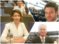 V europarlamente už zarezávajú nováčikovia V europarlamente už zarezávajú nováčikovia