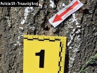Policajti riešia podozrivé vysychanie stromov v Dunajskej Strede