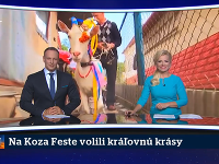 Koza Fest vyburcoval Patrika Švajdu k tomu, že Zlaticu nazval kozou. 