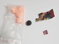 Na festivale polícia zadržala množstvo drog Na festivale polícia zadržala množstvo drog