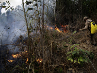 Amazonský dažďový prales postihol požiar