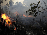 Amazonský dažďový prales postihol požiar
