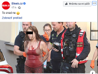 O prípade informovali viaceré české médiá. Žena skončila v rukách polície celá od krvi.