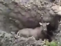 Na toto sa veľmi ťažko pozerá. Na toto sa veľmi ťažko pozerá.