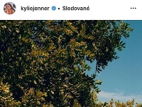 Kylie Jenner sa predviedla v Evinom rúchu a jej partner Travis Scott pózoval spolu s ňou. 
