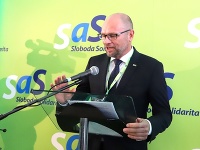 Richard Sulík Richard Sulík