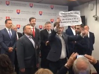 Kauza Gorila Kauza Gorila