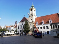 Na Hlavnom námestí už stojí 14-metrový vianočný stromček.