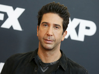 David Schwimmer David Schwimmer
