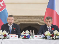 Český premiér Andrej Babiš a slovenský premiér Peter Pellegrini pred spoločným zasadnutím vlád 