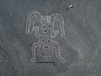 Vedci objavili 140 nových obrazcov na planine Nazca v Peru.
