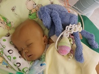 Mirio bojoval o život 10 mesiacov. Mirio bojoval o život 10 mesiacov.