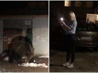 Medvedica v Starom Smokovci. Medvedica v Starom Smokovci.