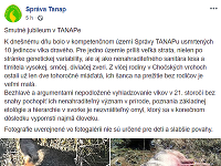 K dnešnému dňu bolo v kompetenčnom území Správy TANAPu usmrtených 11 jedincov vlka dravého.