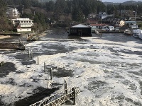 Voda na Novom Zélande sa dvíha Voda na Novom Zélande sa dvíha