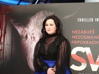 Mariana Čengel Solčanská film vraj nakrútila preto, že to cítila ako svoju občiansku povinnost. 