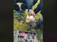 Vďaka hasičom sa veverička dostala na slobodu. Vďaka hasičom sa veverička dostala na slobodu.