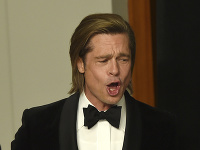 Brad Pitt po svojom boku nemá oficiálnu partnerku. Brad Pitt po svojom boku nemá oficiálnu partnerku.