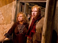 Julie Walters a Mark Williams si zahrali Weasleyovcov vo filmoch o Harrym Potterovi. 