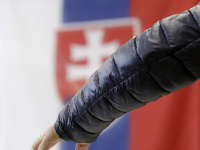 Parlamentné voľby 2020 Parlamentné voľby 2020
