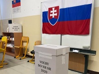 Parlamentné voľby 2020 Parlamentné voľby 2020