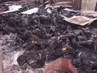Zhorené telá členov sekty, ktorí sa pod vplyvom jej zakladateľov podpálili