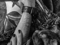 Ruku krásnej Bronislavy Gregušovej zdobí zásnubný prsteň.